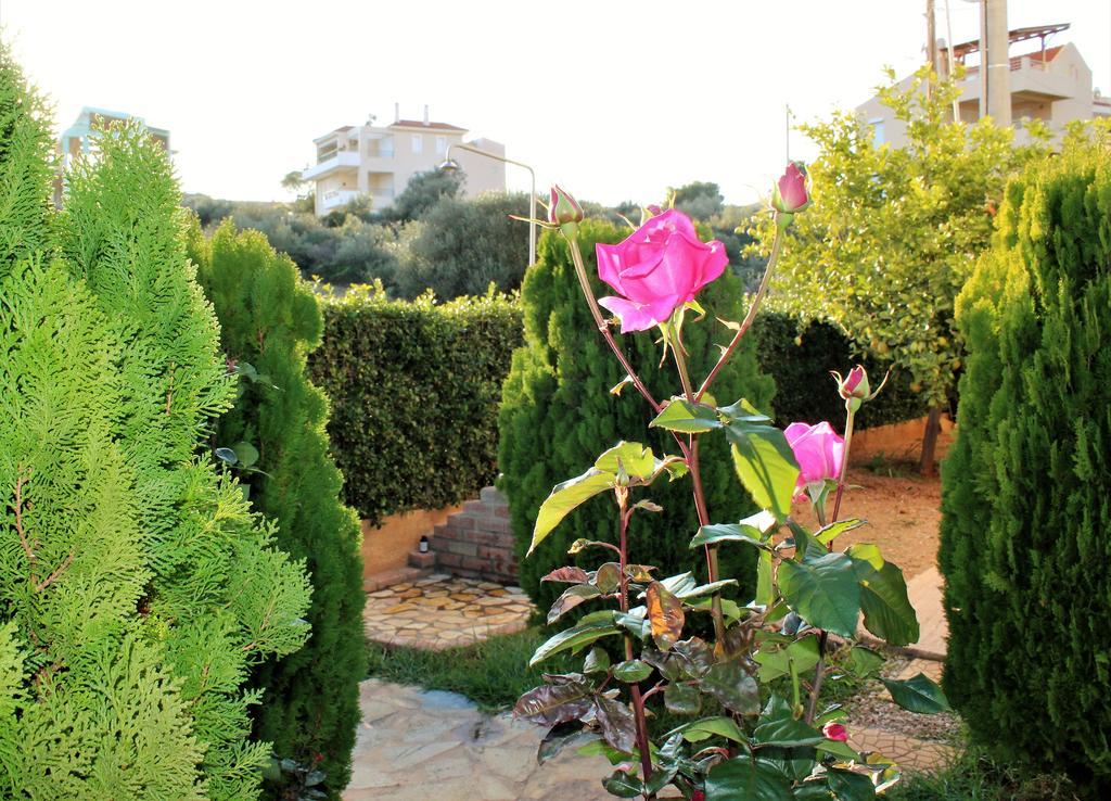 Helen'S Sounio Apartments Sounion Exterior photo